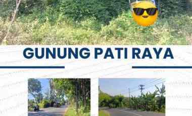 dijual tanah plalangan
