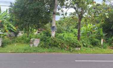 dijual tanah pogalan trenggalek jawa timur