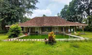 dijual tanah pogung pandega marta