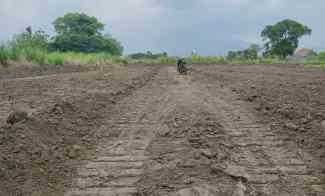 dijual tanah pohjejer kec gondang