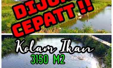 dijual tanah polanharjo klaten