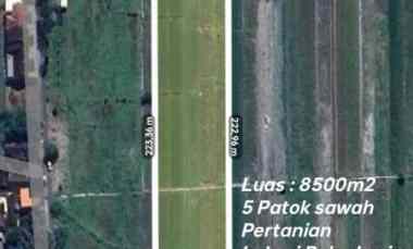 dijual tanah polanharjo klaten