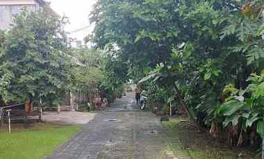 dijual tanah poltek stp bali