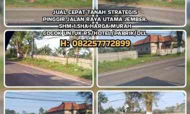 dijual tanah pondok lalang jenggawah jember