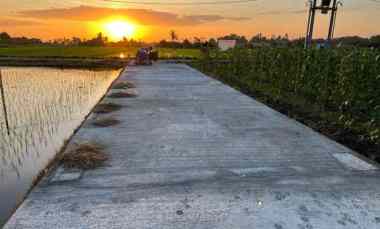 dijual tanah premium view laut di kedungu