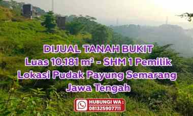 Dijual Tanah Berupa Bukit Shm 1 Pemilik Lokasi Semarang Jawa Tengah