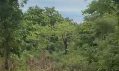 dijual tanah puja mandala