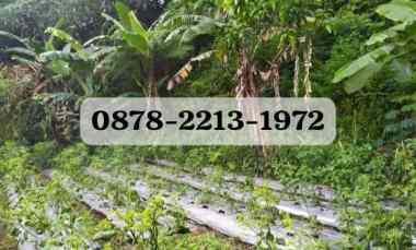 dijual tanah punclut lembang kbb