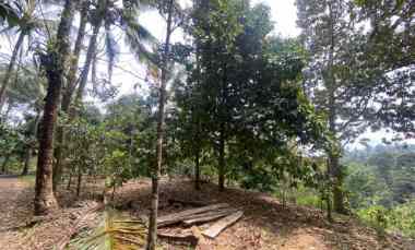 dijual tanah pupuan tabanan bali