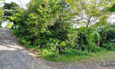 dijual tanah puri gading
