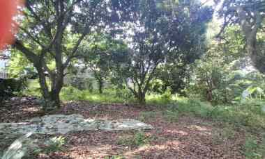 dijual tanah puri sriwedari cibubur