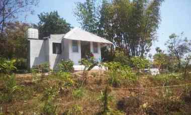 Dijual Tanah Kebun dekat Taman Safari Purwosari Pandaan