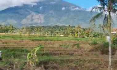 Dijual Tanah View Gunung dan Sawah di Rando Bawa Mandirancan