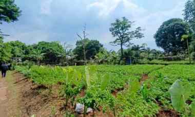 dijual tanah rangkapan jaya depok