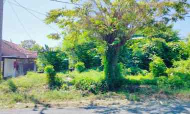 dijual tanah raya bangkingan