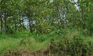 dijual tanah raya jatiwangi majalengka