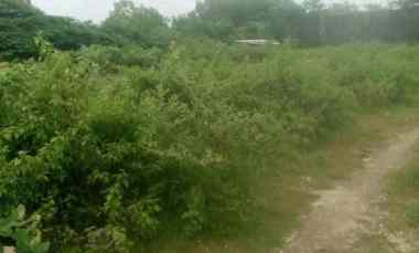 dijual tanah raya kampial