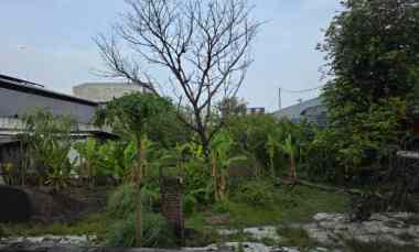 dijual tanah raya kedung cowek