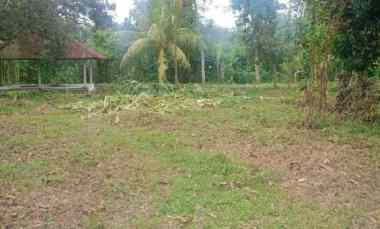 dijual tanah raya mataram lombok nusa