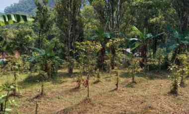 dijual tanah raya nagreg