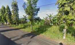 Tanah Kebun Singosari 10 menit dari Exit Toll Lawang Cocok Buat Gudang