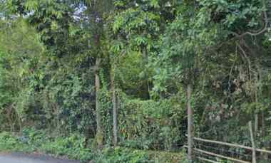 dijual tanah raya uluwatu