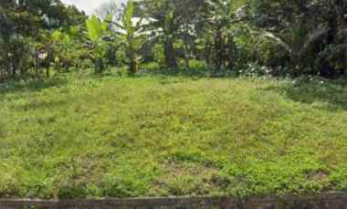 dijual tanah rendang karangasem