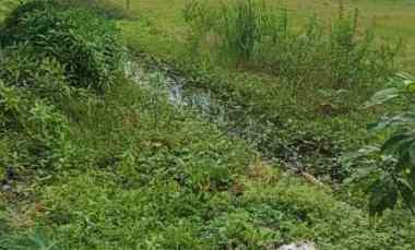 dijual tanah rorotan