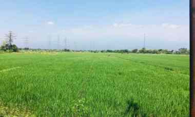 dijual tanah rp 4 milyard di jalan raya grati pasuruan