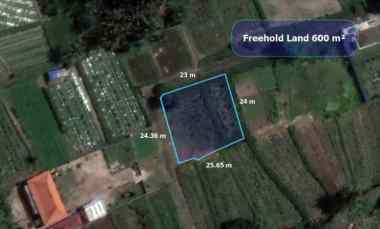 dijual tanah saba gianyar