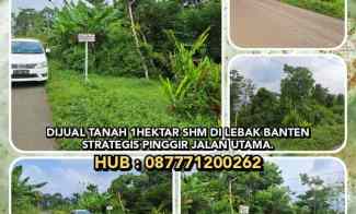 dijual tanah sajira kab lebak banten