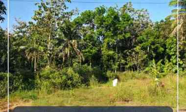 dijual tanah salakan bangunjiwo kasihan