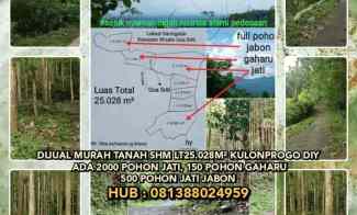 Dijual Murah Tanah Shm di Kulonprogo Yogyakarta. Lt25.028m Ada 2000ph