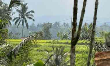 Dijual Lahan dengan Los Sungai dengan View Sawah dan Lembah