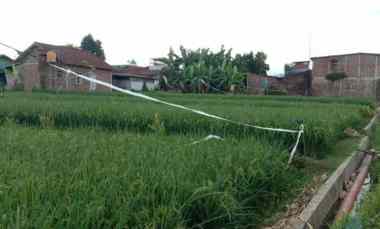 dijual tanah sawah 7 menit ke stasiun purwokerto