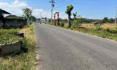 dijual tanah sawah 700m 175jt kerjo karanganyar
