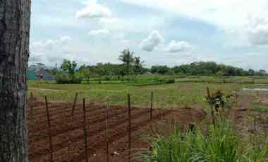 dijual tanah sawah akses mobil papasan
