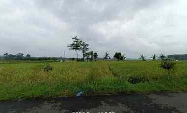 Dijual Tanah Sawah di Purwodadi Kembaran
