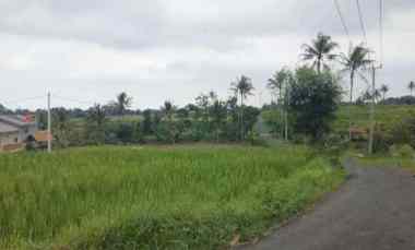 Dijual Tanah Sawah Pinggir Jalan View Gunung