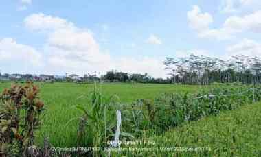 Dijual Tanah Sawah Produktif 2 menit ke Kampus Unwiku