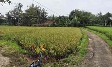 Dijual Tanah Sawah Produktif Akses jl Mobil