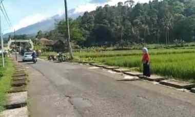 Dijual Tanah Sawah Strategis Pinggir Jalan Desa Wusata