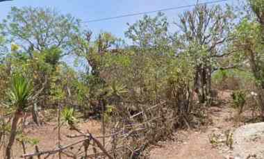 dijual tanah sawangan