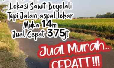 dijual tanah sawit boyolali