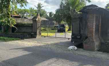 Dijual 66,75 are, jl. Raya Tunon Raya Sayan Singekerta Ubud Gianyar