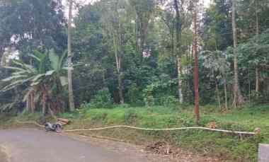 Dijual Tanah Pinggir Jalan Udara Sejuk Asri Alami Pedesaan