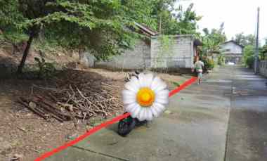 dijual tanah sayegan