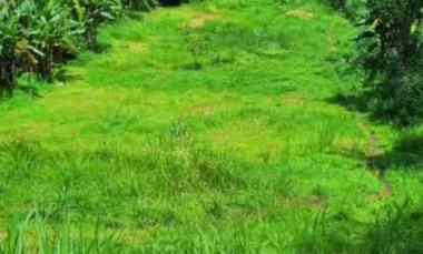 dijual tanah sebatu ubud bali