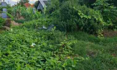 dijual tanah sedap malam