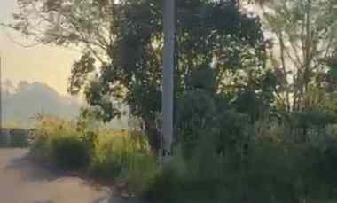 dijual tanah sedap malam